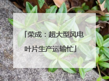 荣成：超大型风电叶片生产运输忙