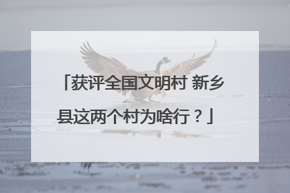 获评全国文明村 新乡县这两个村为啥行？