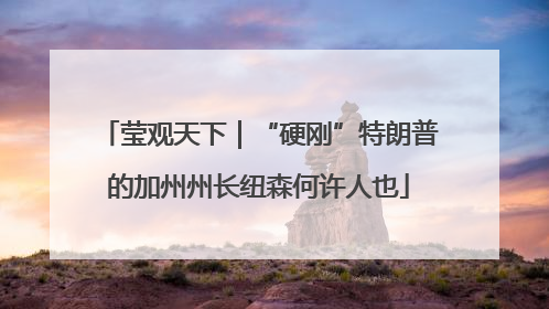 莹观天下｜“硬刚”特朗普的加州州长纽森何许人也