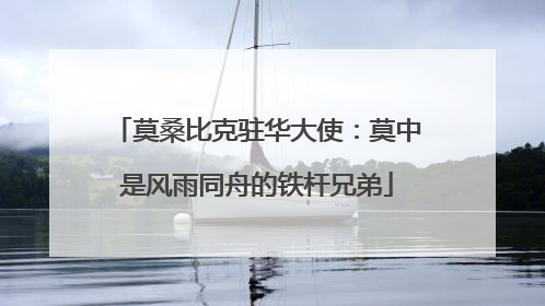 莫桑比克驻华大使：莫中是风雨同舟的铁杆兄弟