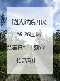 莲湖法院开展“6·26国际禁毒日”主题宣传活动