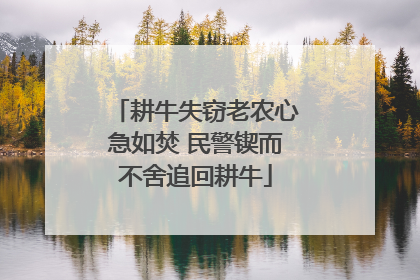 耕牛失窃老农心急如焚 民警锲而不舍追回耕牛