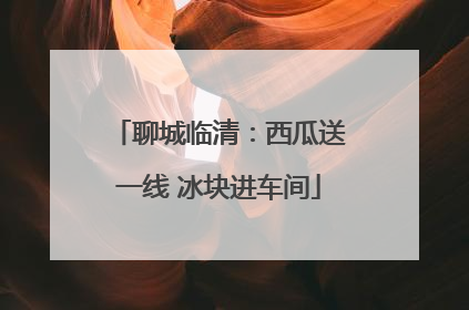 聊城临清：西瓜送一线 冰块进车间
