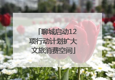 聊城启动12项行动计划扩大文旅消费空间