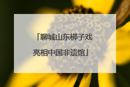 聊城山东梆子戏亮相中国非遗馆