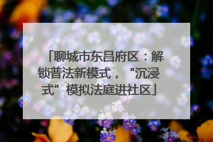 聊城市东昌府区：解锁普法新模式，“沉浸式”模拟法庭进社区