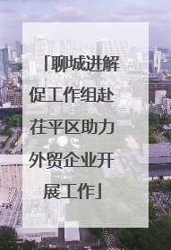 聊城进解促工作组赴茌平区助力外贸企业开展工作