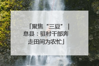 聚焦“三夏”｜息县：驻村干部奔走田间为农忙