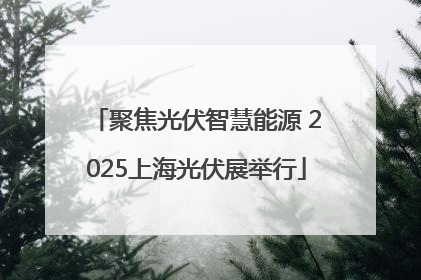 聚焦光伏智慧能源 2025上海光伏展举行