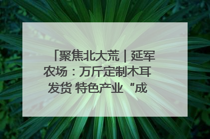 聚焦北大荒｜延军农场：万斤定制木耳发货 特色产业“成绩单”亮眼