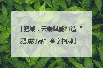 肥城：云端赋能打造“肥城好品”金字招牌