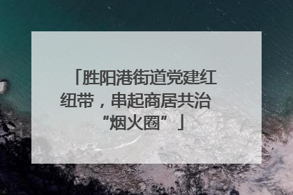 胜阳港街道党建红纽带，串起商居共治 “烟火圈”