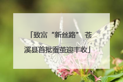 致富“新丝路” 苍溪县首批蚕茧迎丰收