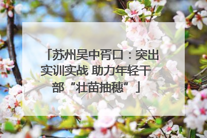 苏州吴中胥口：突出实训实战 助力年轻干部“壮苗抽穗”