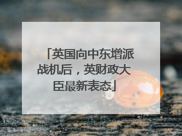 英国向中东增派战机后，英财政大臣最新表态