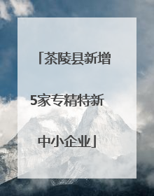 茶陵县新增5家专精特新中小企业