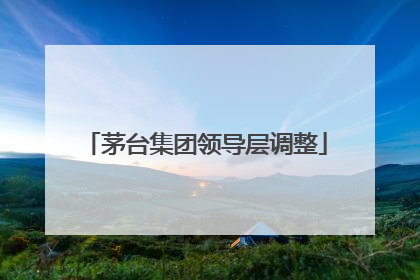 茅台集团领导层调整