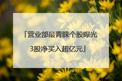 营业部最青睐个股曝光 3股净买入超亿元