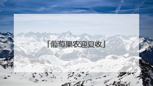 葡萄果农迎夏收
