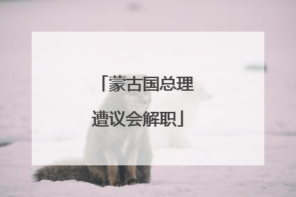蒙古国总理遭议会解职