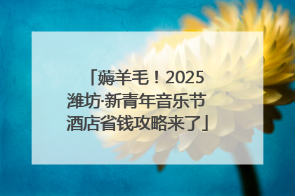 薅羊毛！2025潍坊·新青年音乐节酒店省钱攻略来了