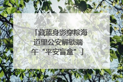 藏蓝身影穿粽海 道里公安解锁端午“平安盲盒”