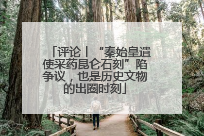评论丨“秦始皇遣使采药昆仑石刻”陷争议，也是历史文物的出圈时刻
