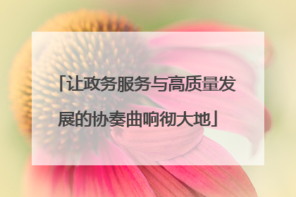 让政务服务与高质量发展的协奏曲响彻大地