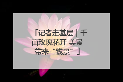记者走基层｜千亩玫瑰花开 美景带来“钱景”