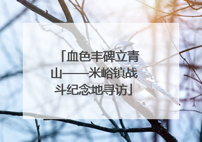 血色丰碑立青山——米峪镇战斗纪念地寻访