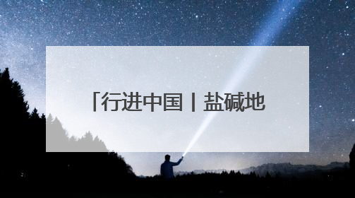行进中国丨盐碱地上“渔歌”嘹亮