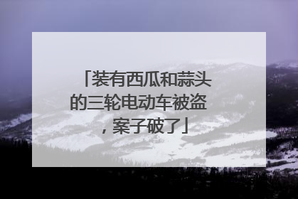 装有西瓜和蒜头的三轮电动车被盗，案子破了