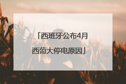 西班牙公布4月西葡大停电原因