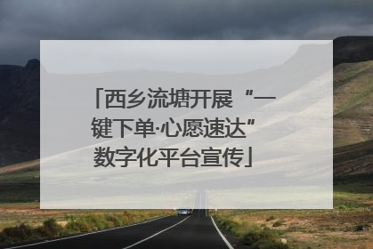 西乡流塘开展“一键下单·心愿速达”数字化平台宣传