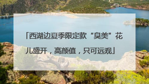 西湖边夏季限定款“臭美”花儿盛开，高颜值，只可远观