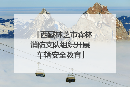 西藏林芝市森林消防支队组织开展车辆安全教育