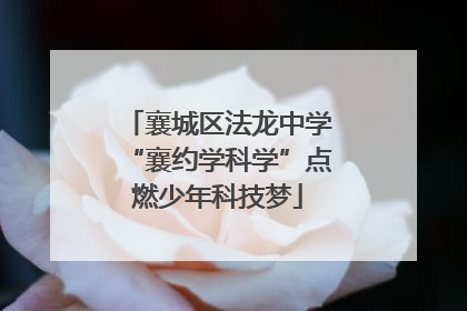 襄城区法龙中学“襄约学科学”点燃少年科技梦