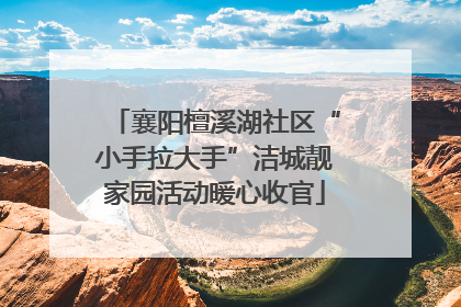 襄阳檀溪湖社区“小手拉大手”洁城靓家园活动暖心收官