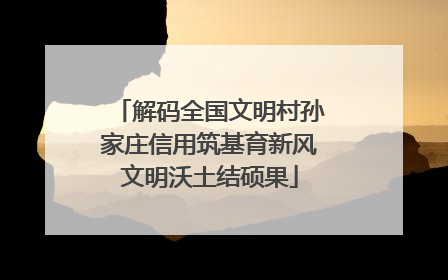 解码全国文明村孙家庄信用筑基育新风文明沃土结硕果