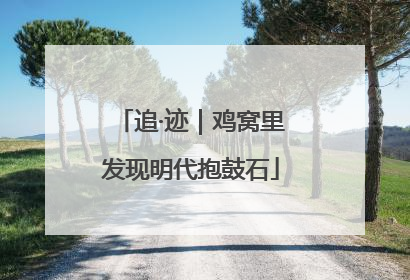 追·迹｜鸡窝里发现明代抱鼓石