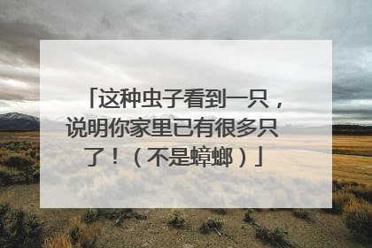 这种虫子看到一只，说明你家里已有很多只了！（不是蟑螂）
