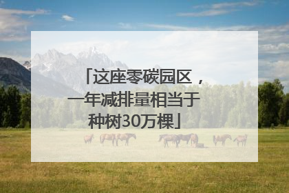 这座零碳园区，一年减排量相当于种树30万棵