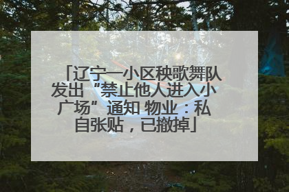 辽宁一小区秧歌舞队发出“禁止他人进入小广场”通知 物业：私自张贴，已撤掉