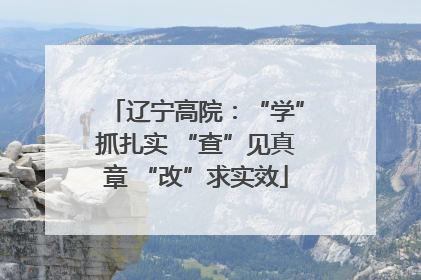 辽宁高院：“学”抓扎实 “查”见真章 “改”求实效