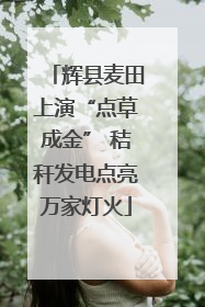 辉县麦田上演“点草成金” 秸秆发电点亮万家灯火