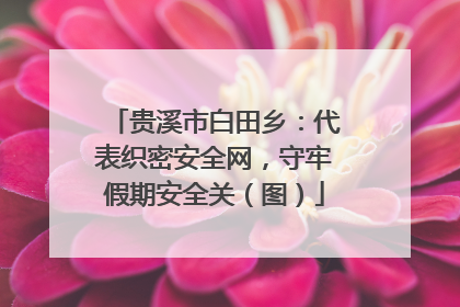 贵溪市白田乡：代表织密安全网，守牢假期安全关（图）