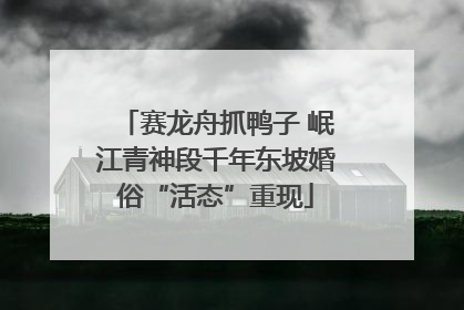 赛龙舟抓鸭子 岷江青神段千年东坡婚俗“活态”重现