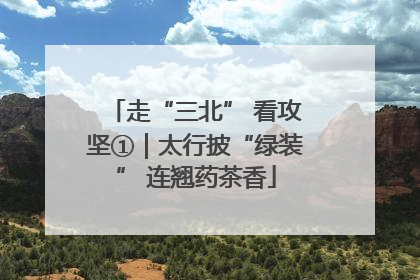 走“三北” 看攻坚①｜太行披“绿装” 连翘药茶香