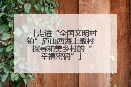 走进“全国文明村镇”庐山西海上畈村 探寻和美乡村的“幸福密码”