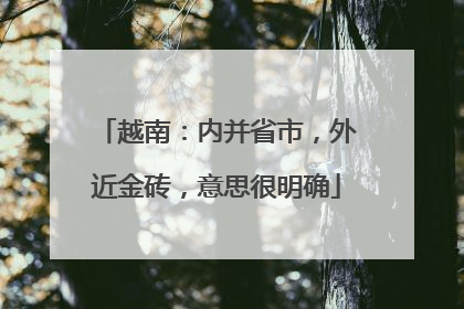 越南：内并省市，外近金砖，意思很明确